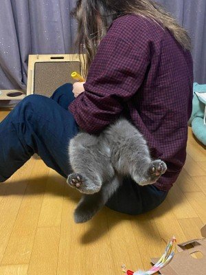 Image 476