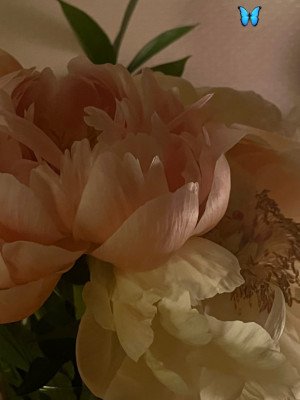Image 13621