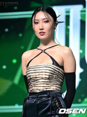 Image 13799
