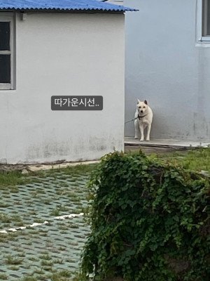 Image 38975
